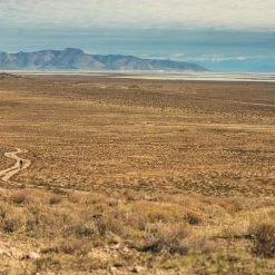 ASSOS Mille GTC Kiespanzer C2 Cykelbukser Herrer, Sort -Trollkids Salg assos mille gtc kiespanzer c2 bib shorts men black series 5