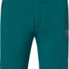 Oakley Drop In MTB Shorts Damer, Sort