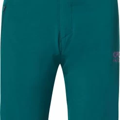Oakley Drop In MTB Shorts Damer, Sort